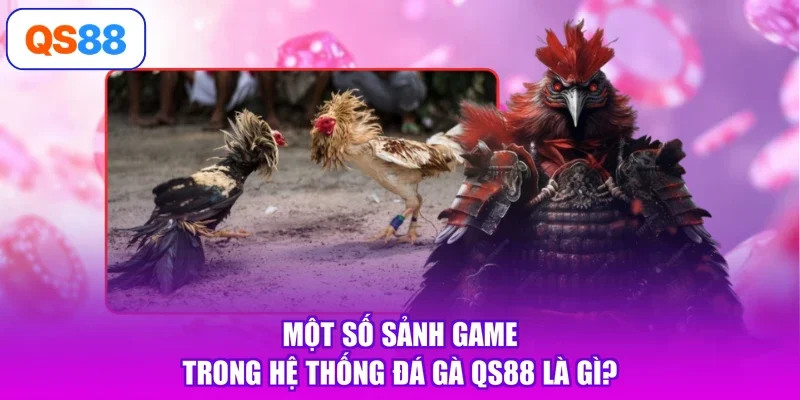 Một số sảnh game trong hệ thống đá gà Qs88 là gì?